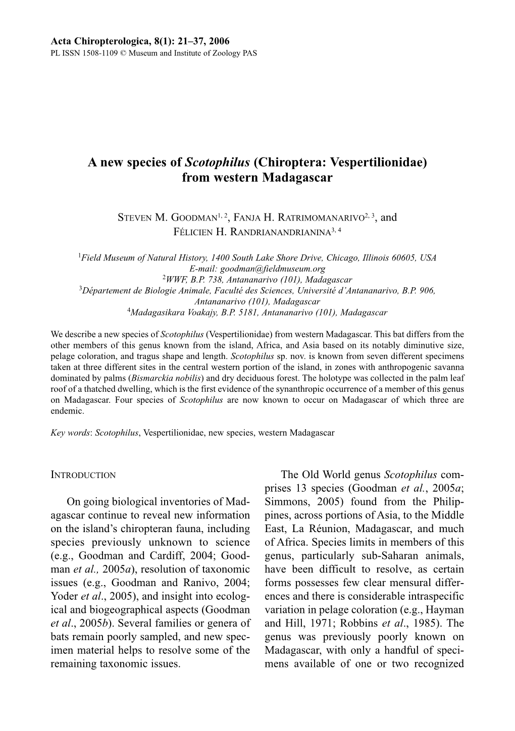 A New Species of Scotophilus (Chiroptera: Vespertilionidae) from Western Madagascar