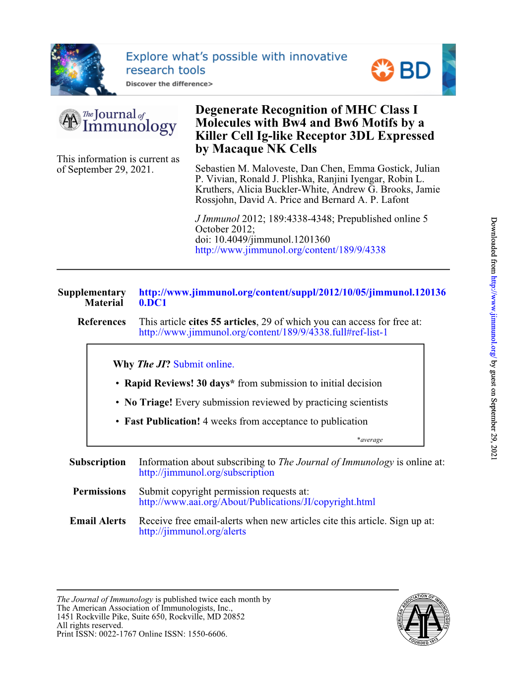 By Macaque NK Cells Killer Cell Ig-Like Receptor 3DL Expressed