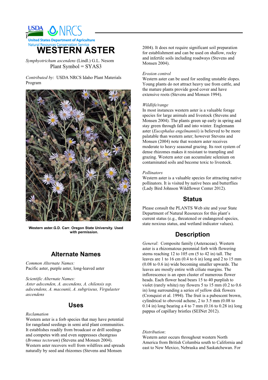 Plant Guide for Western Aster (Symphyotrichum Ascendens)