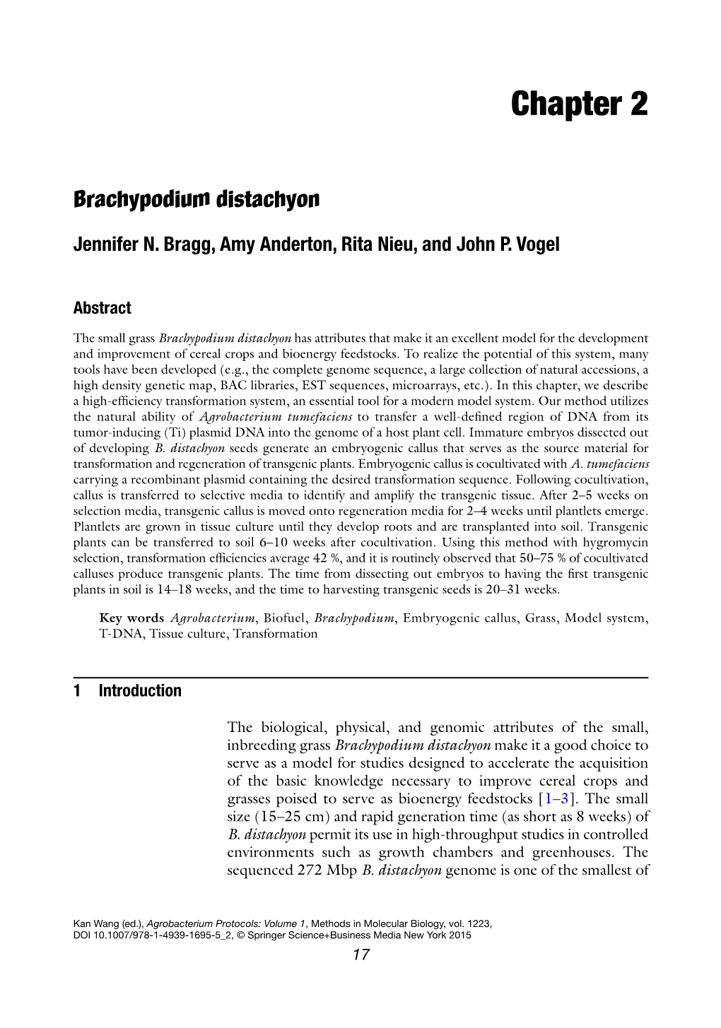 Brachypodium Distachyon Transformation Protocol