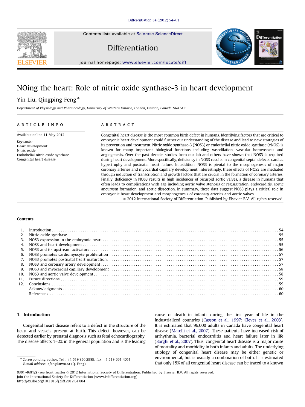 Role of Nitric Oxide Synthase-3 in Heart Development