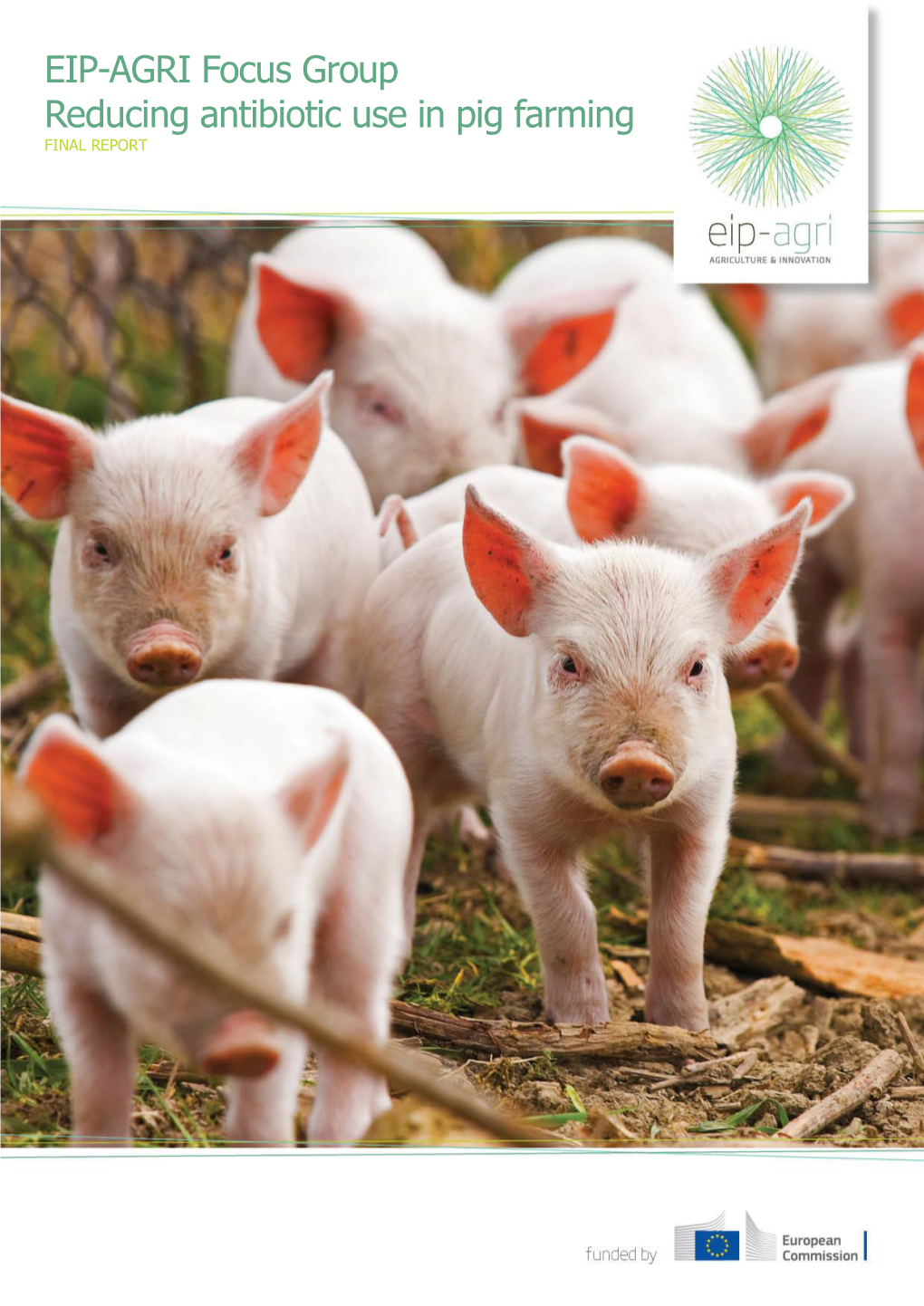 EIP-AGRI Focus Group Reducing Antibiotic Use in Pig Farming FINAL REPORT