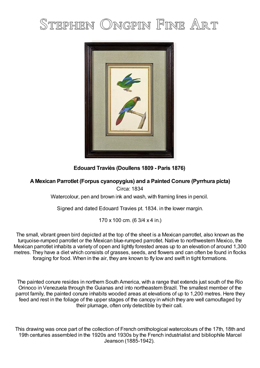 A Mexican Parrotlet (Forpus Cyanopygius) and a Painted Conure (Pyrrhura Picta) Circa: 1834 Watercolour, Pen and Brown Ink and Wash, with Framing Lines in Pencil