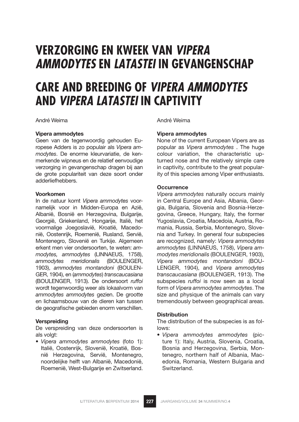 Care and Breeding of Vipera Ammodytes and Vipera Latastei in Captivity