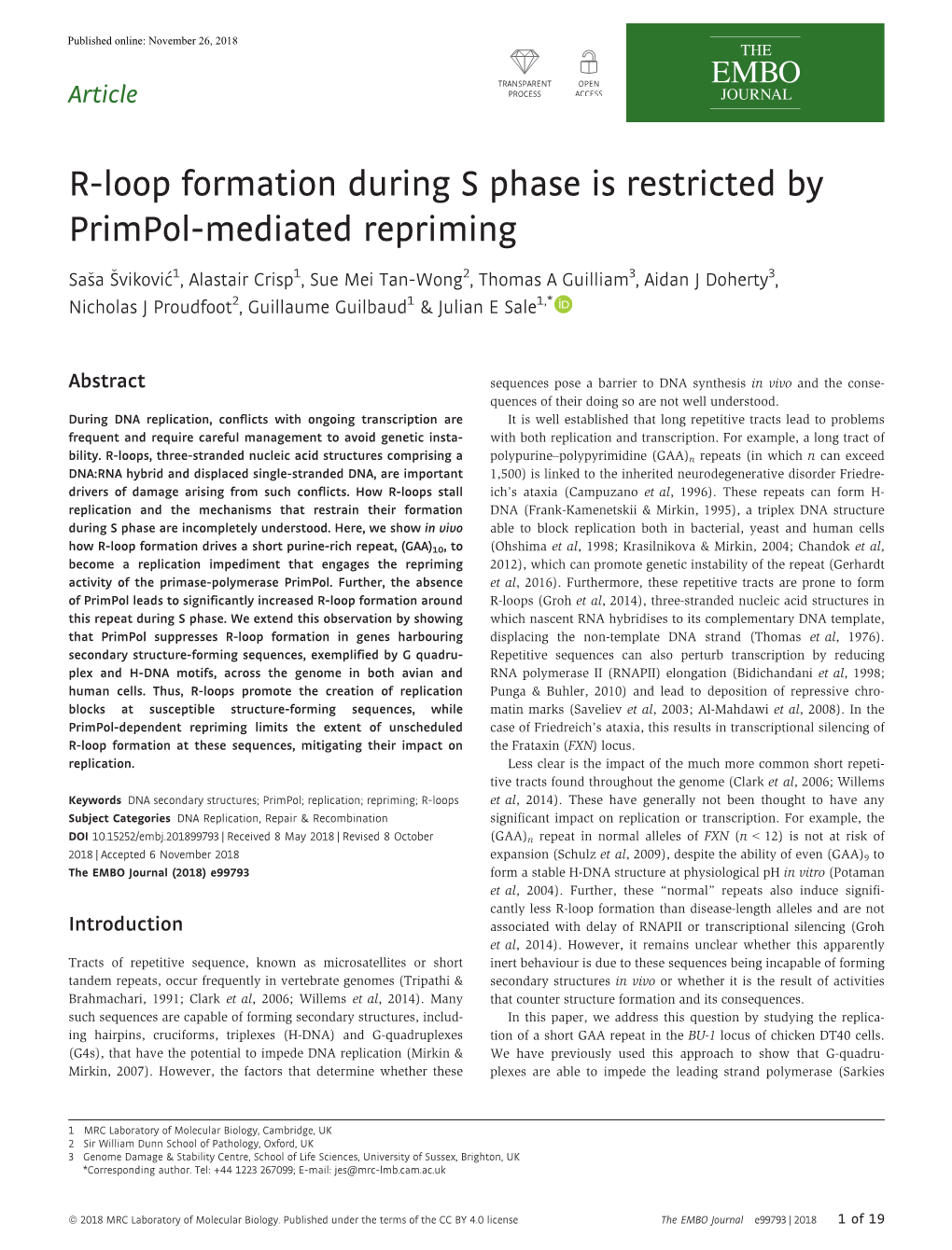 R‐Loop Formation During S Phase Is Restricted by Primpol‐Mediated