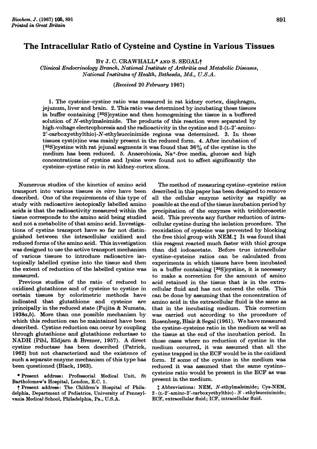 The Intracellular Ratio of Cysteine and Cystine in Various Tissues