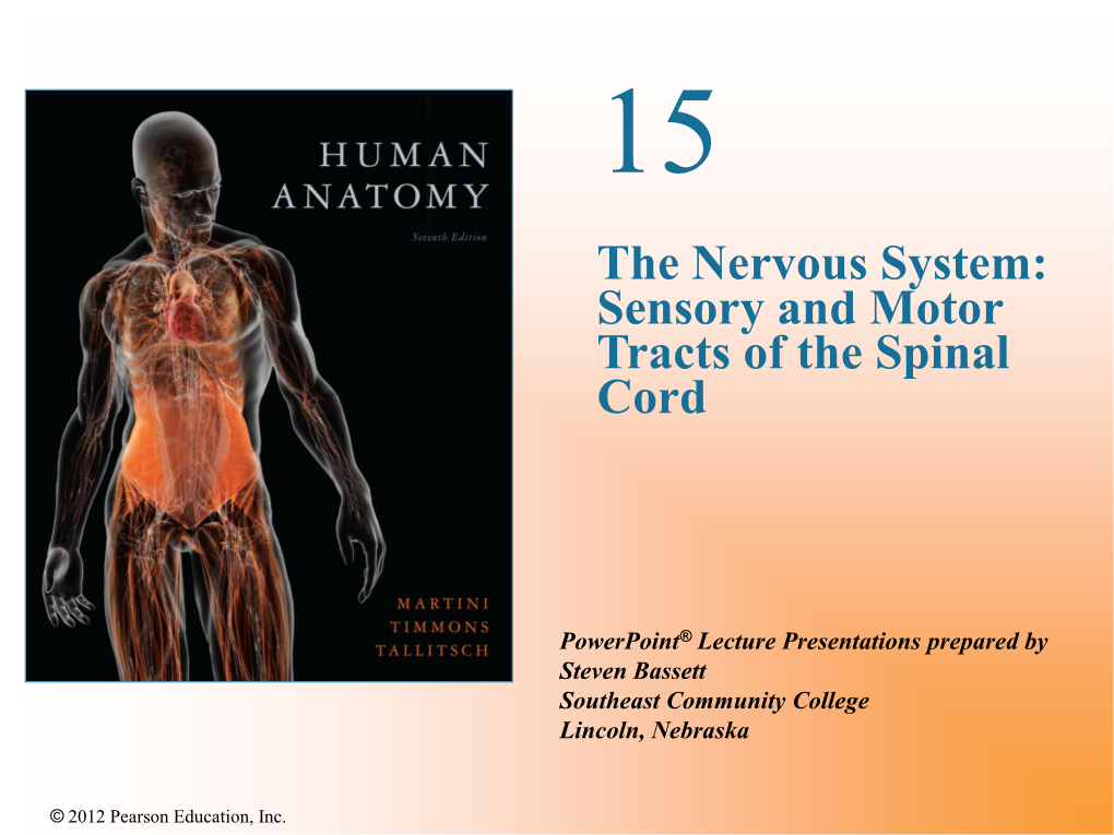 The Nervous System: Sensory and Motor Tracts of the Spinal Cord