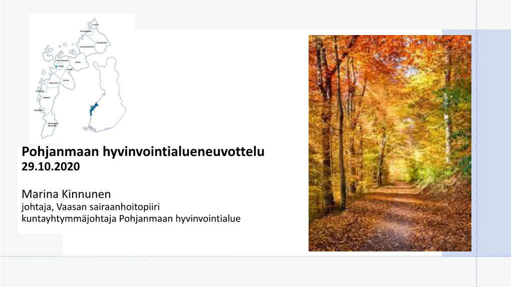 Pohjanmaan Hyvinvointialueneuvottelu 29.10.2020