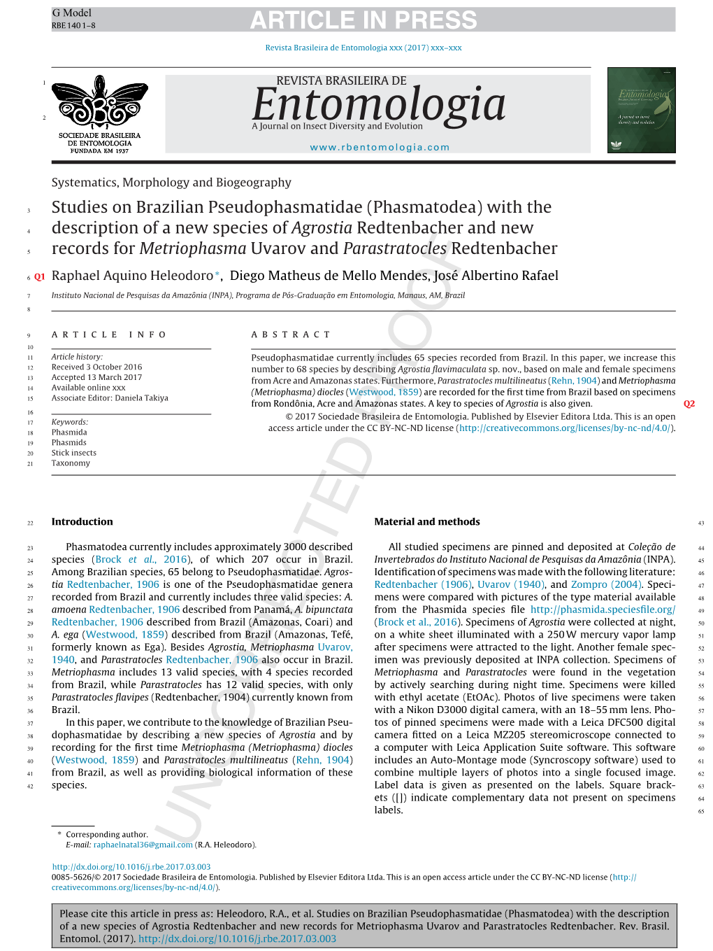 Studies on Brazilian Pseudophasmatidae (Phasmatodea) with The