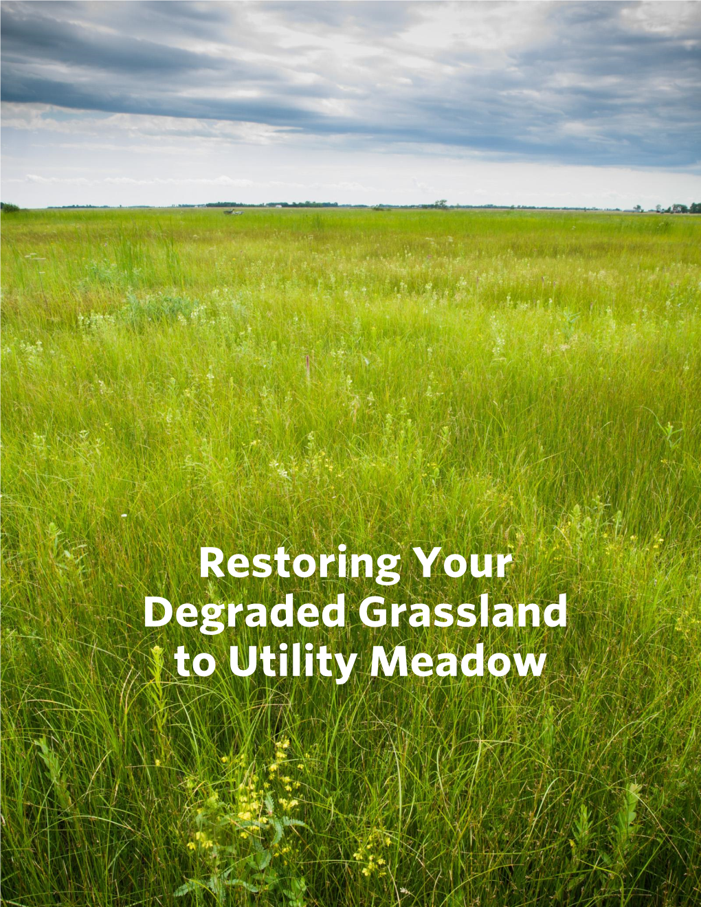 Restoring Your Degraded Grassland to Utility Meadow