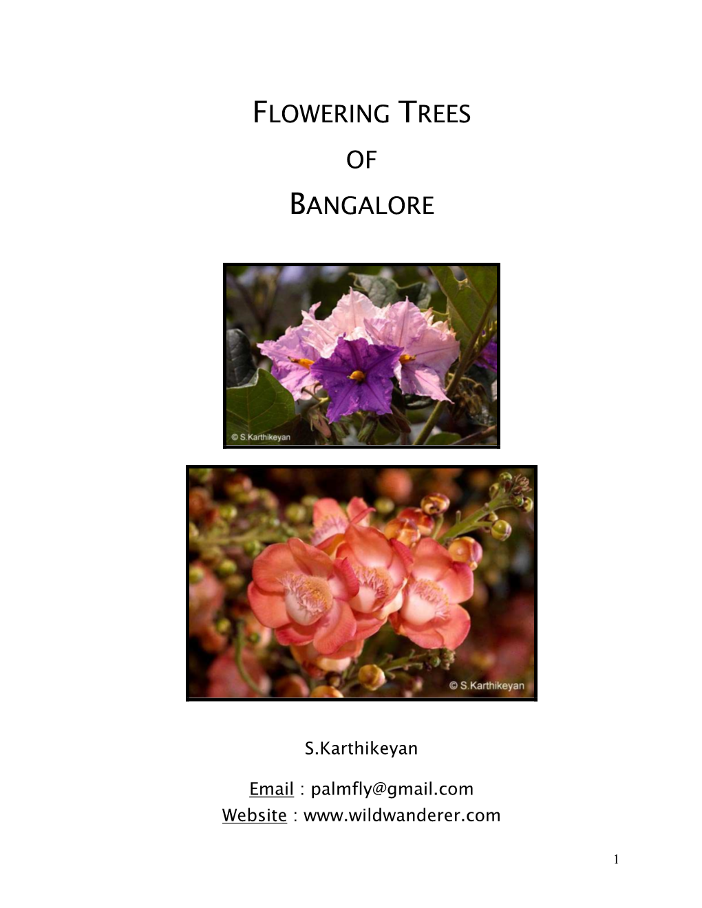 Flowering Trees of Bangalore by S. Karthikeyan