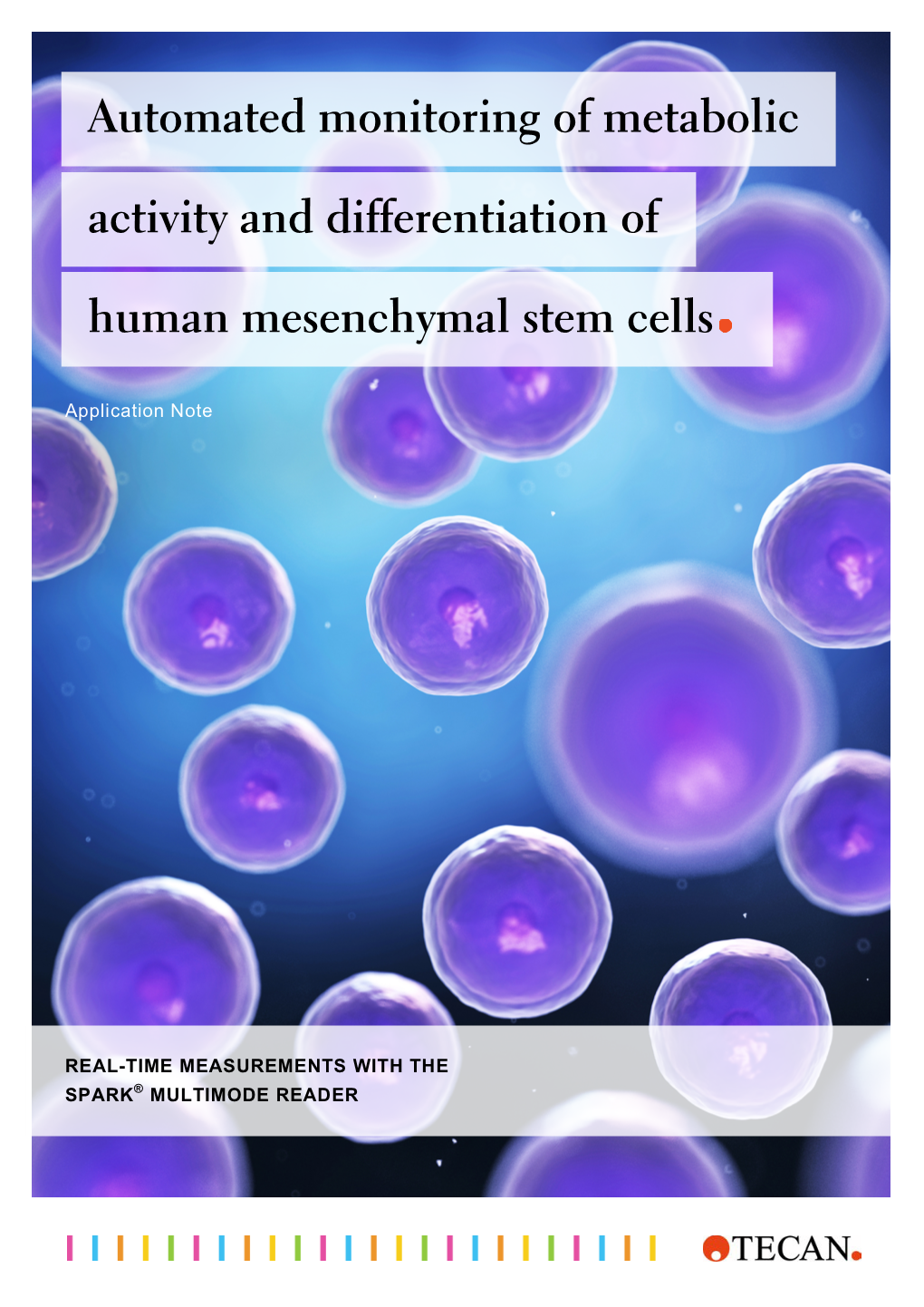 399808 AN-Metabolic Activity During MSC Differentiation Layv3