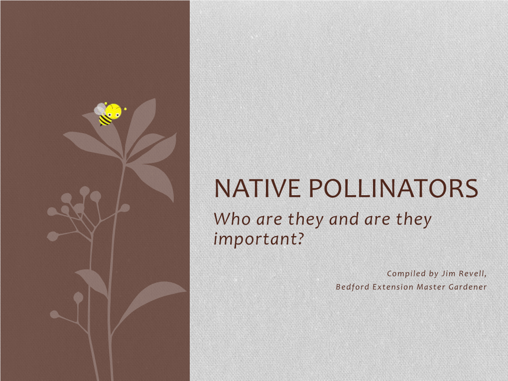 NATIVE POLLINATORS Who Are They and Are They Important?