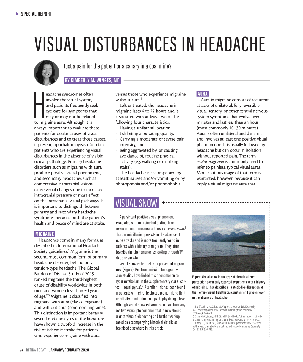 VISUAL DISTURBANCES in HEADACHE Just a Pain for the Patient Or a Canary in a Coal Mine?