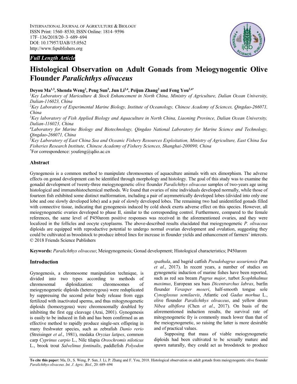 Histological Observation on Adult Gonads from Meiogynogentic Olive Flounder Paralichthys Olivaceus