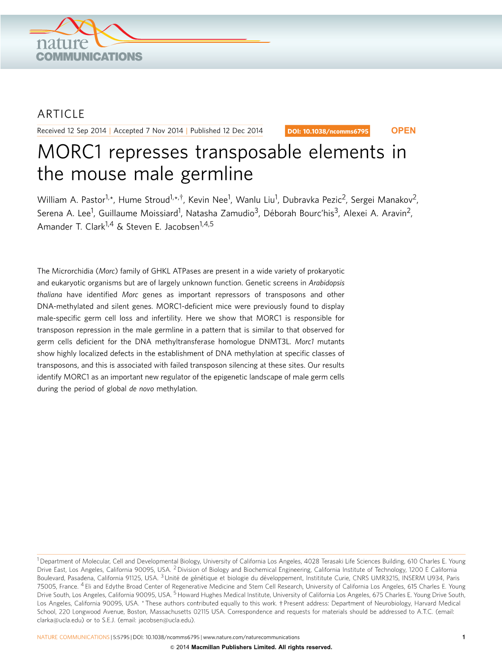 MORC1 Represses Transposable Elements in the Mouse Male Germline