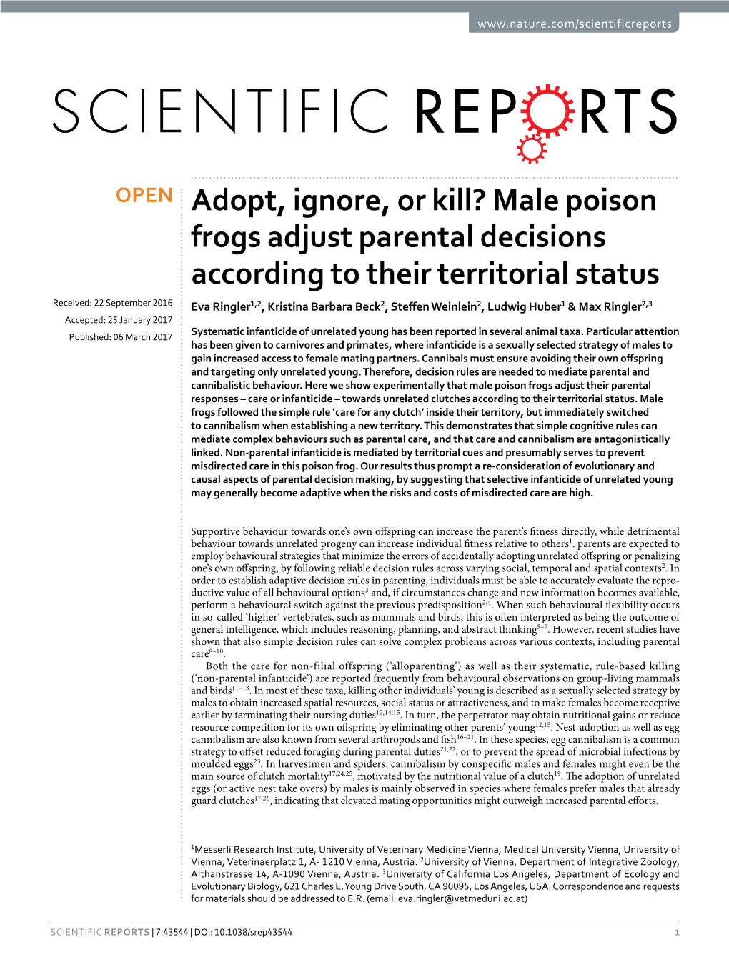 Adopt, Ignore, Or Kill? Male Poison Frogs Adjust Parental Decisions