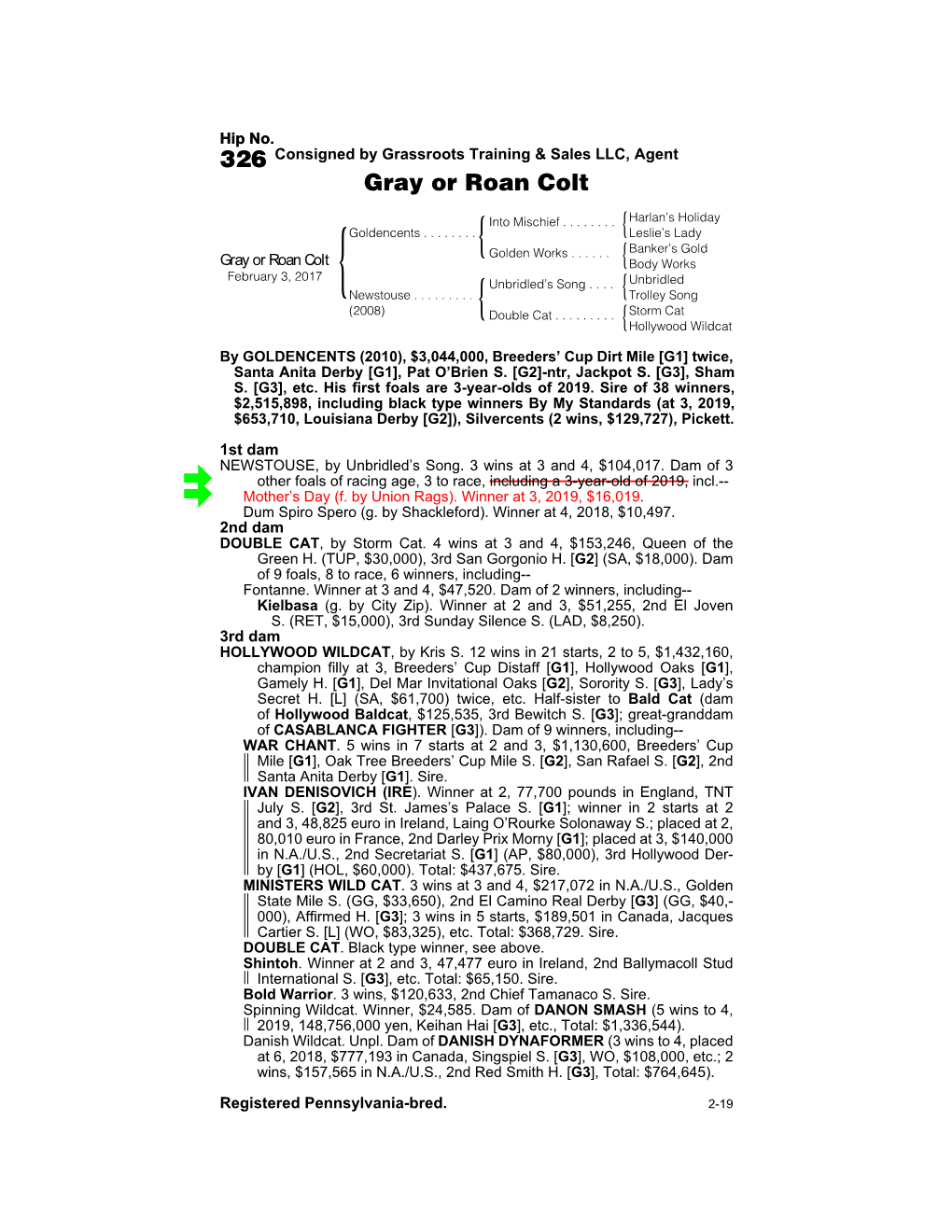 326 Consigned by Grassroots Training & Sales LLC, Agent Gray Or Roan Colt