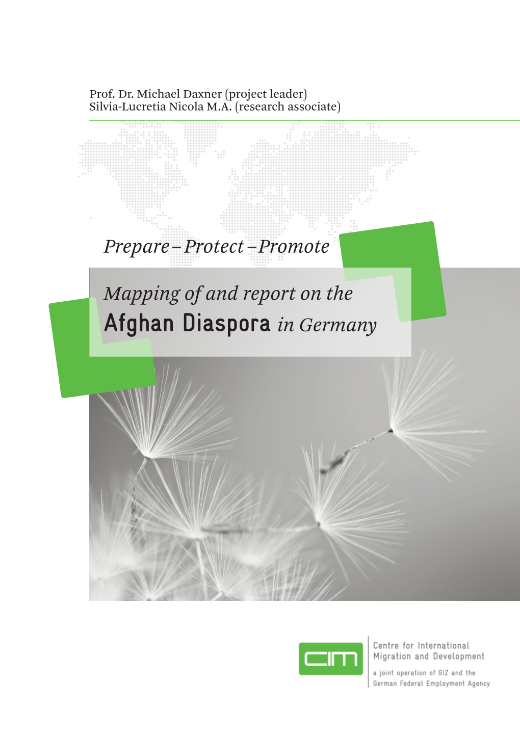 Afghan Diaspora in Germany