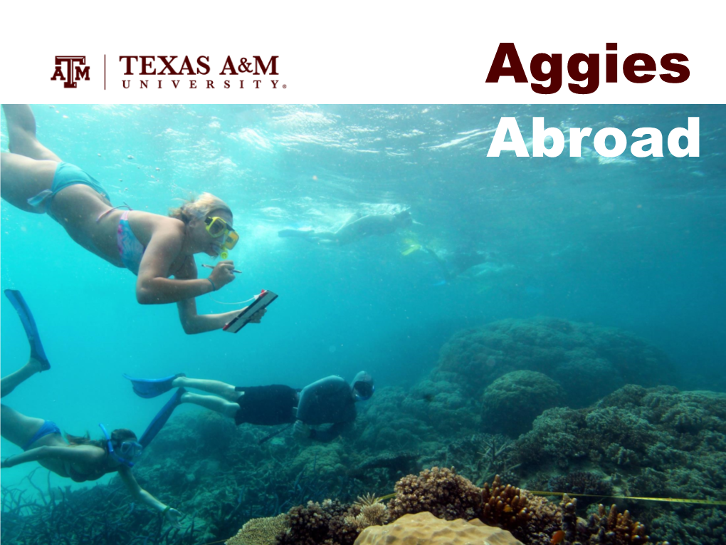 Aggies Abroad 2018/19 Programs