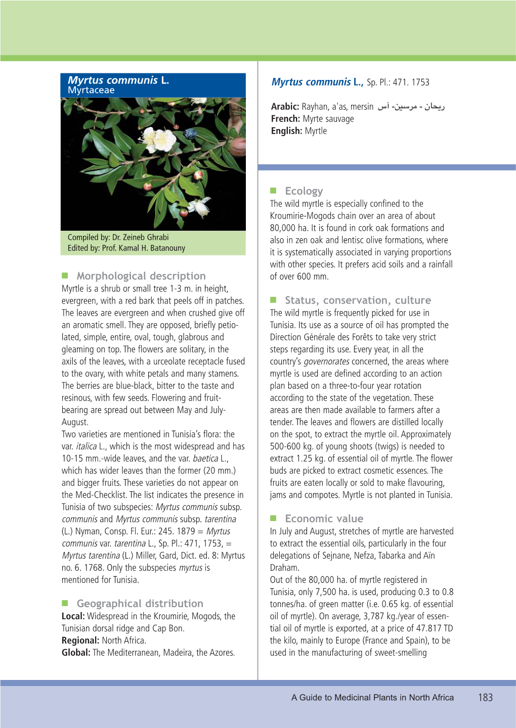 Myrtus Communis L., Sp. Pl.: 471. 1753 Myrtaceae Arabic: Rayhan, A'as, Mersin French: Myrte Sauvage English: Myrtle