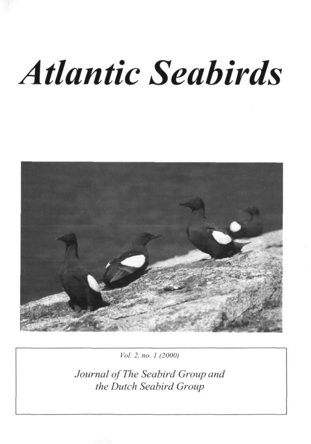 Atlantic Seabirds