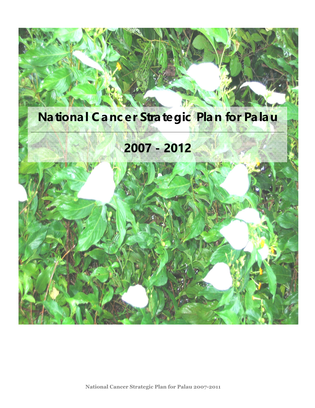 Republic of Palau Comprehensive Cancer Control Plan, 2007-2012