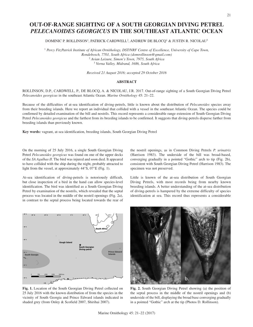 Out-Of-Range Sighting of a South Georgian Diving Petrel Pelecanoides Georgicus in the Southeast Atlantic Ocean