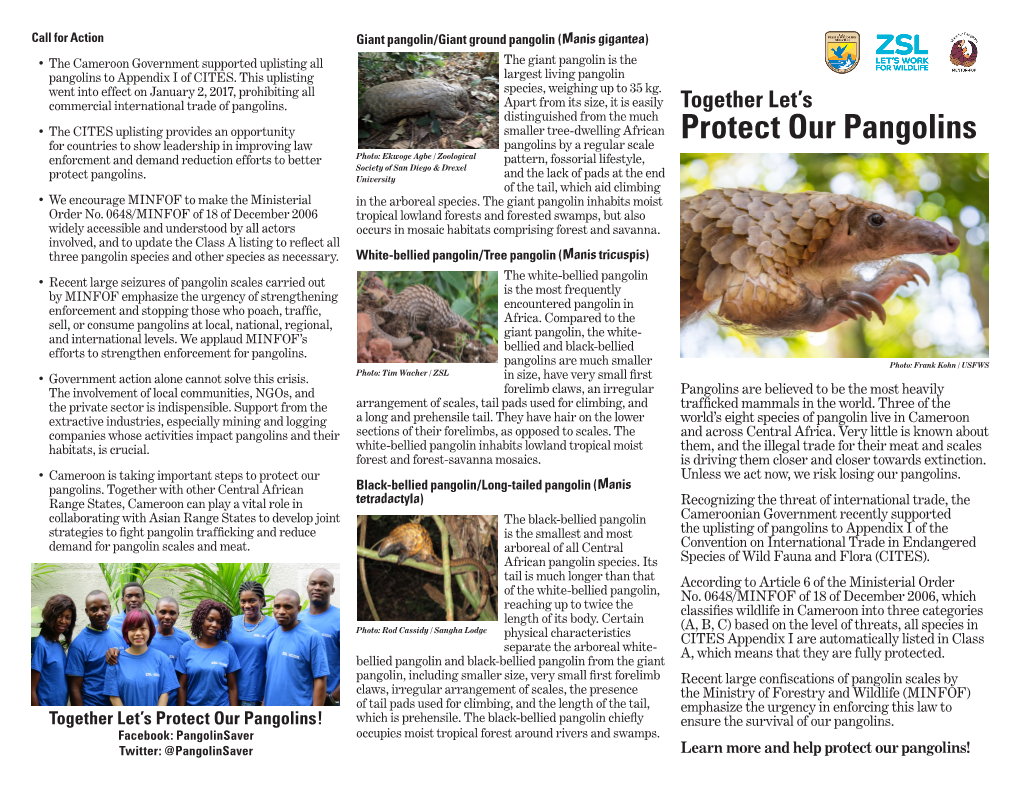 Protect Our Pangolins