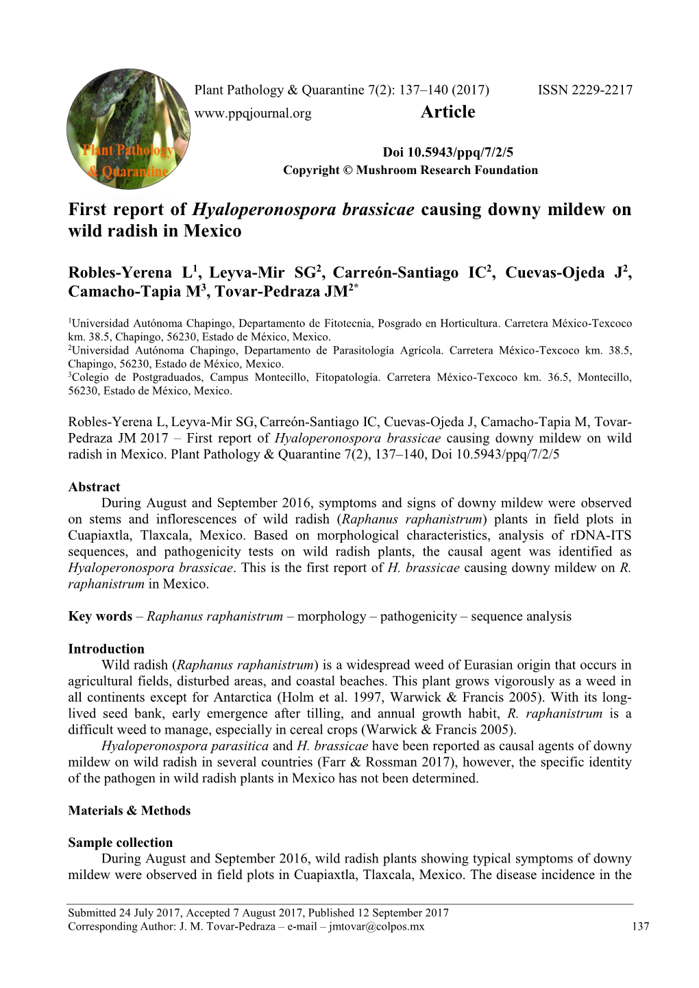 First Report of Hyaloperonospora Brassicae Causing Downy Mildew on Wild Radish in Mexico