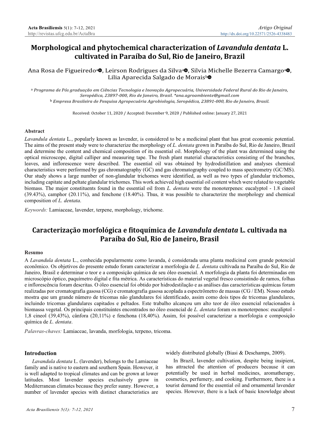 Morphological and Phytochemical Characterization of Lavandula Dentata L