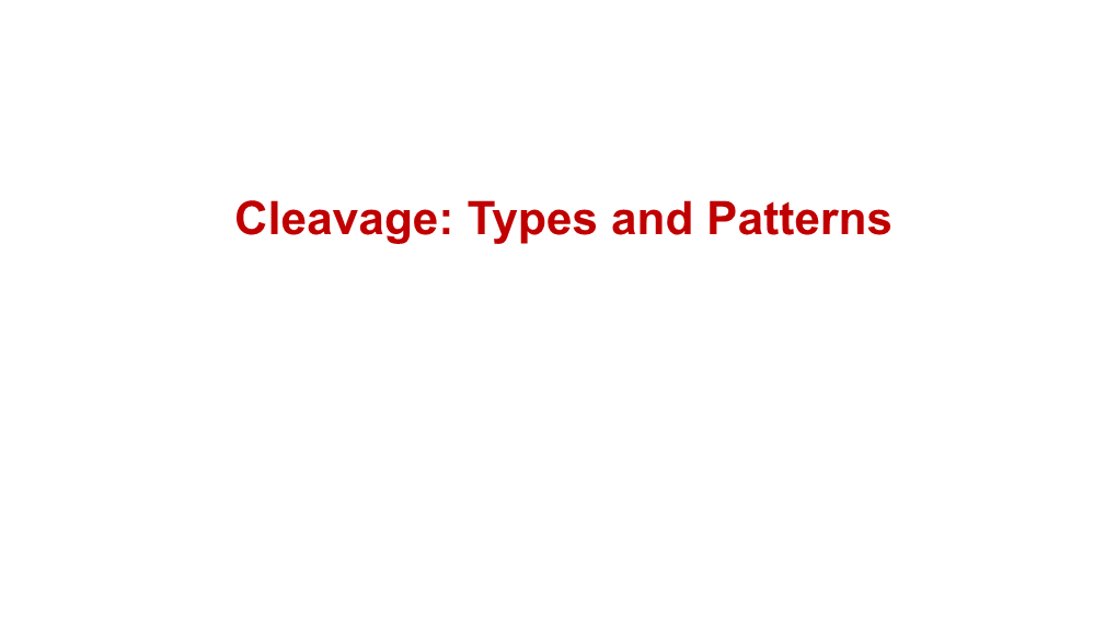 Cleavage: Types and Patterns Fertilization …………..Cleavage