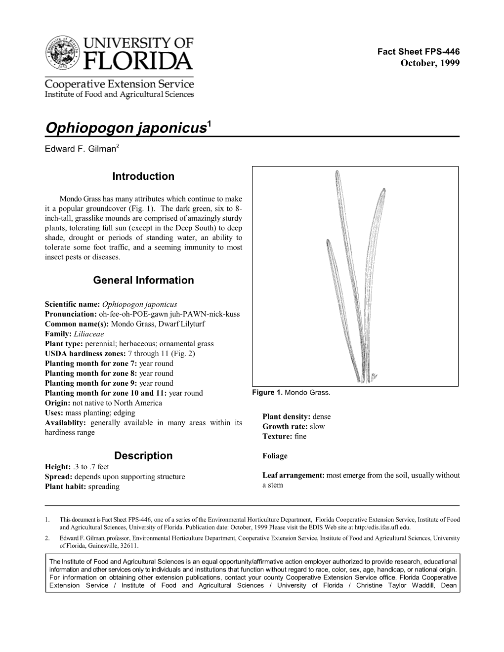 Ophiopogon Japonicus -- Mondo Grass Page 2