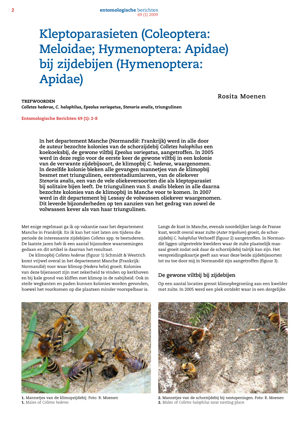 Hymenoptera: Apidae) Bij Zijdebijen (Hymenoptera: Apidae)