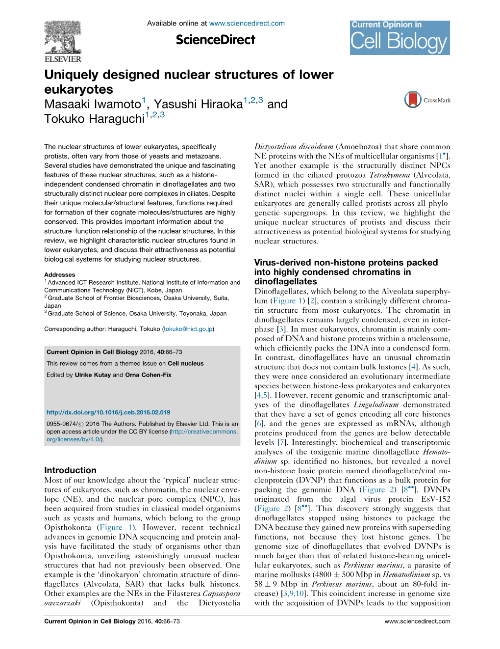 Uniquely Designed Nuclear Structures of Lower Eukaryotes