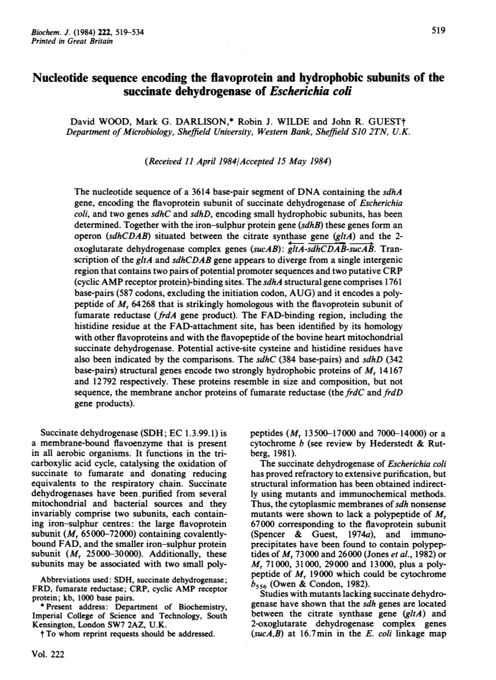 Nucleotide Sequence Encoding the Flavoprotein and Hydrophobic Subunits of the Succinate Dehydrogenase of Escherichia Coli