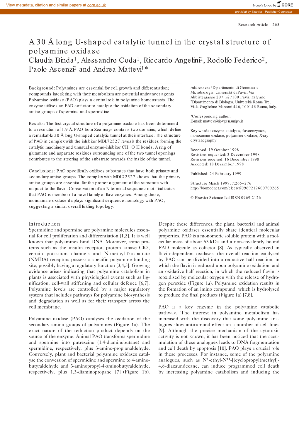 A 30 Å Long U-Shaped Catalytic Tunnel in the Crystal Structure of Polyamine