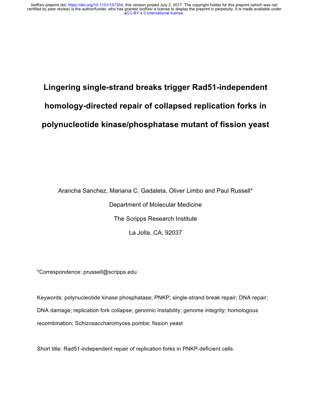 Lingering Single-Strand Breaks Trigger Rad51-Independent Homology