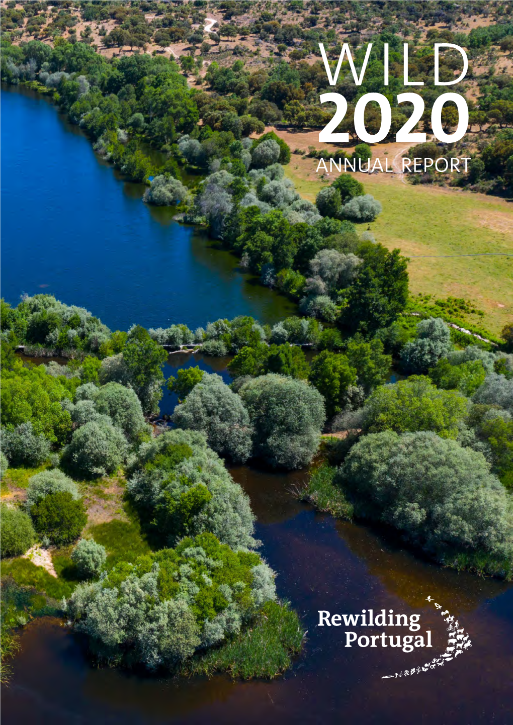 Wild 2020 – Annual Report
