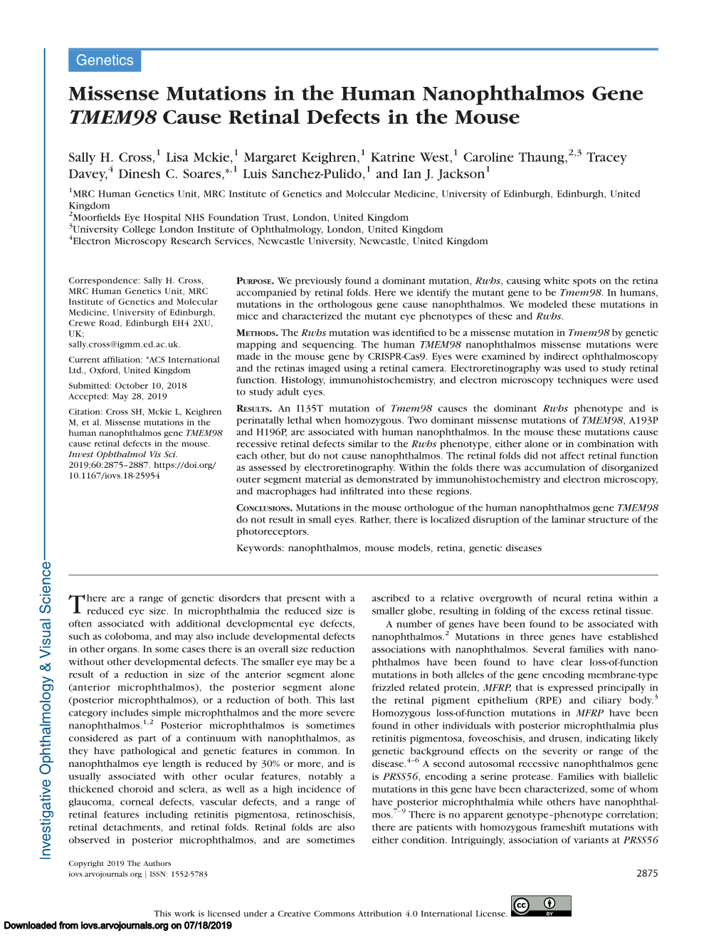 Missense Mutations in the Human Nanophthalmos Gene TMEM98 Cause Retinal Defects in the Mouse