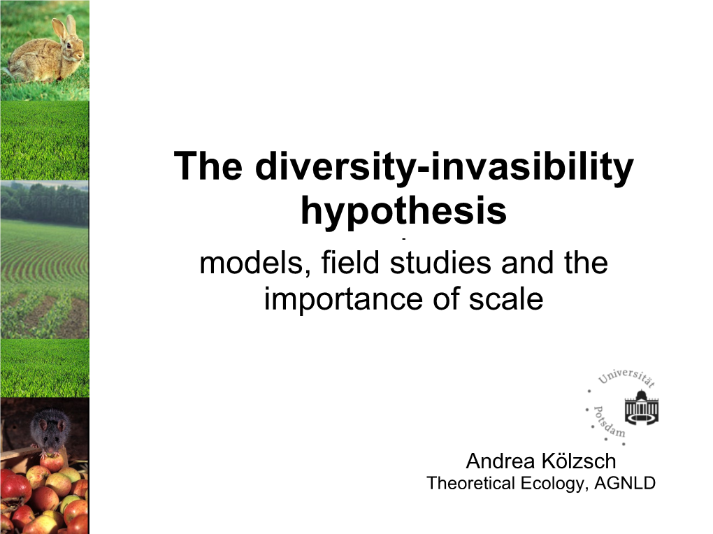 The Diversity-Invasibility Hypothesis - Models, Field Studies and the Importance of Scale