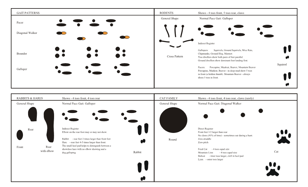GAIT PATTERNS Pacer Diagonal Walker Bounder Galloper RABBITS