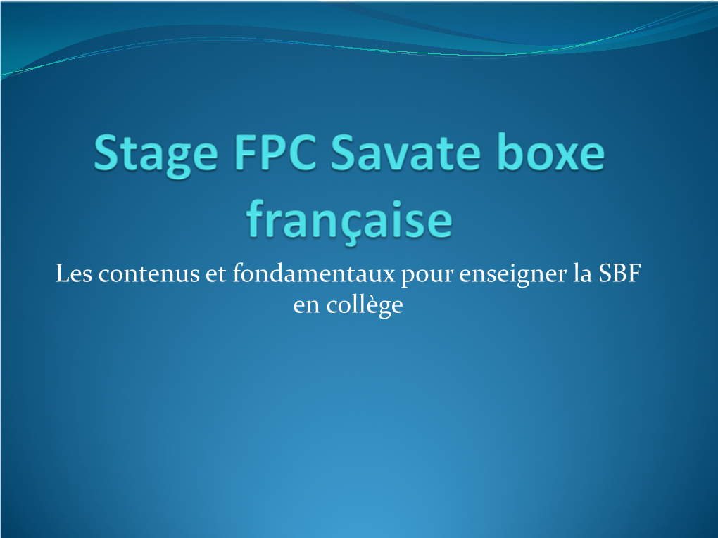 Stage FPC Savate Boxe Française