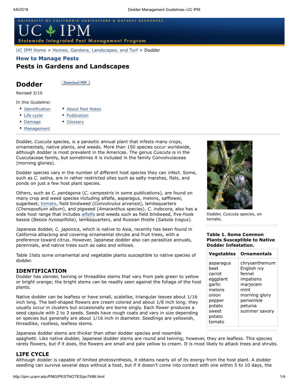 Dodder Management Guidelines--UC IPM