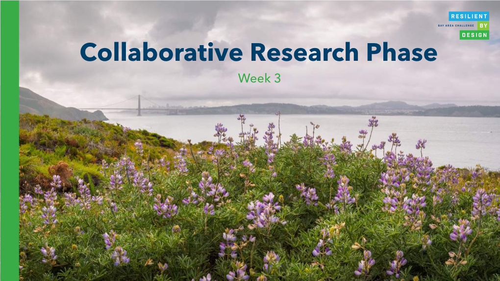 Collaborative Research Phase Week 3 Tour | San Mateo County
