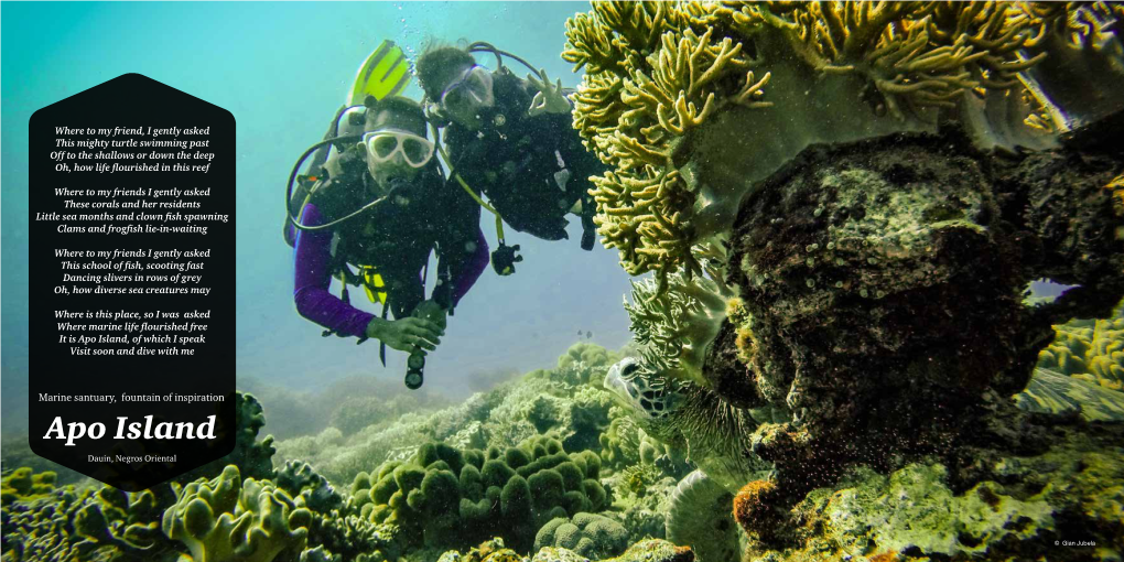 Apo Island, of Which I Speak Visit Soon and Dive with Me