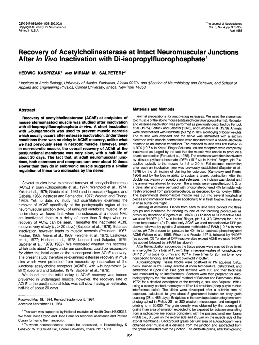 Recovery of Acetylcholinesterase at Intact Neuromuscular Junctions After in Viva Inactivation with Di-Isopropylfluorophosphate’