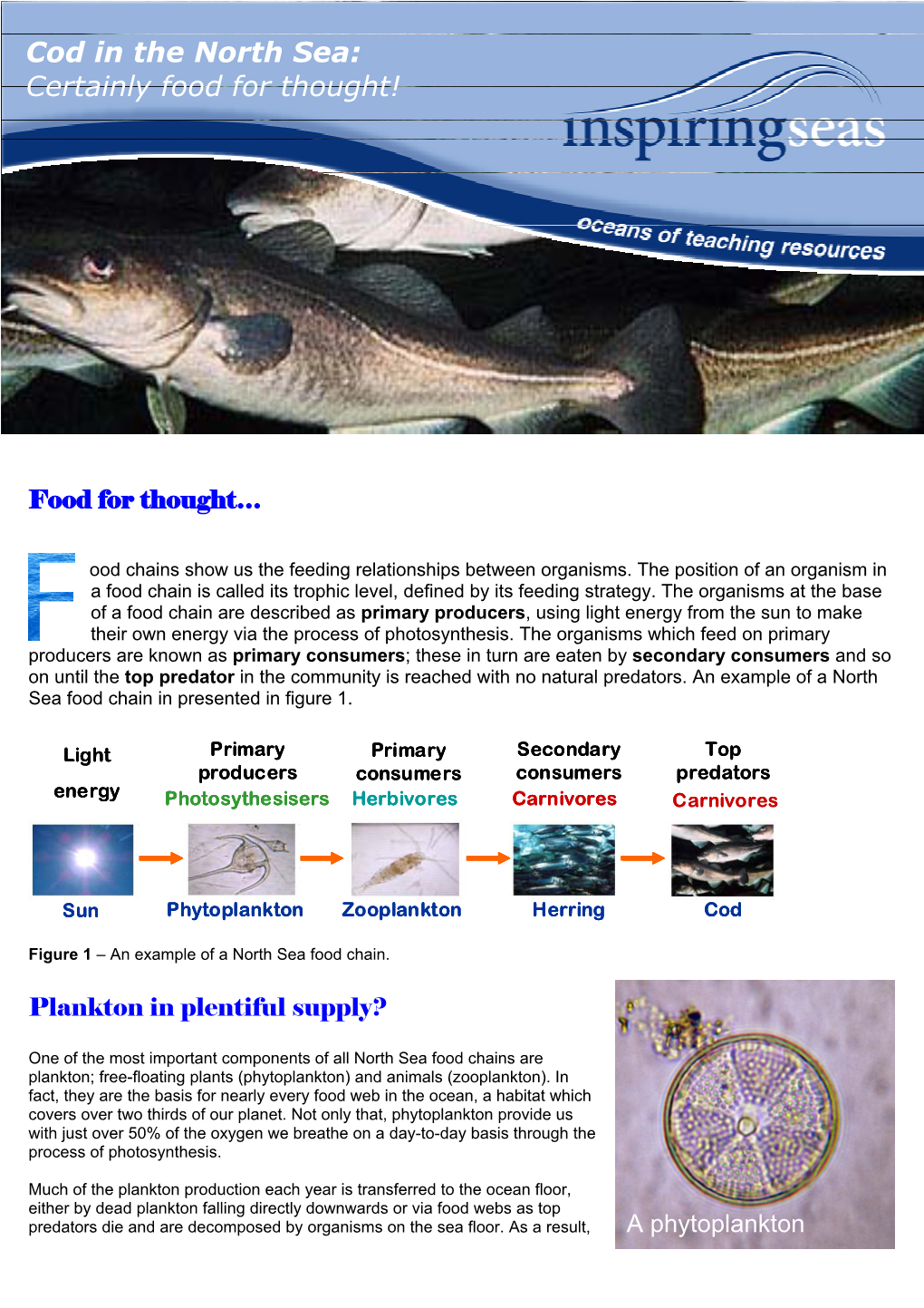 Cod in the North Sea: Certainly Food for Thought!