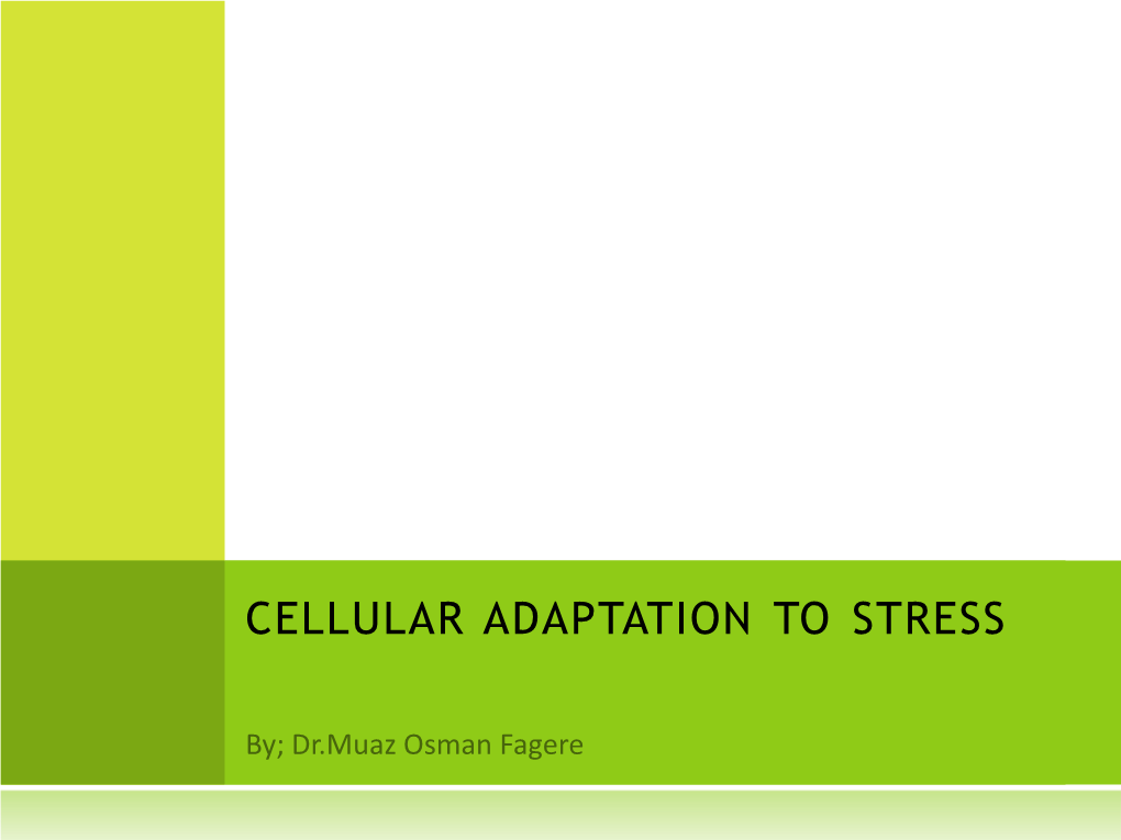 Cellular Adaptation to Stress