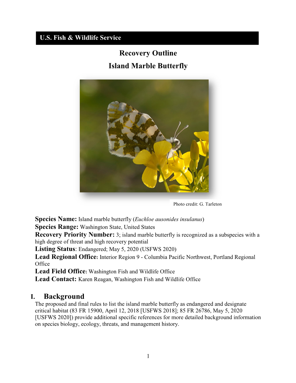 Recovery Outline for Island Marble Butterfly